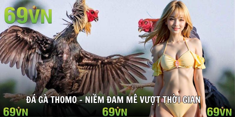 Cú đá kết liễu đỉnh cao tại sới Thomo