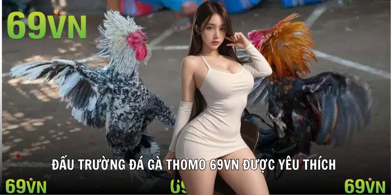 Chiến kê chuẩn bị thi đấu sảnh Thomo